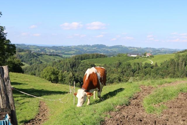 Serschenhof- Auszeit Ueber Dem Stall Leutschach Bagian luar foto
